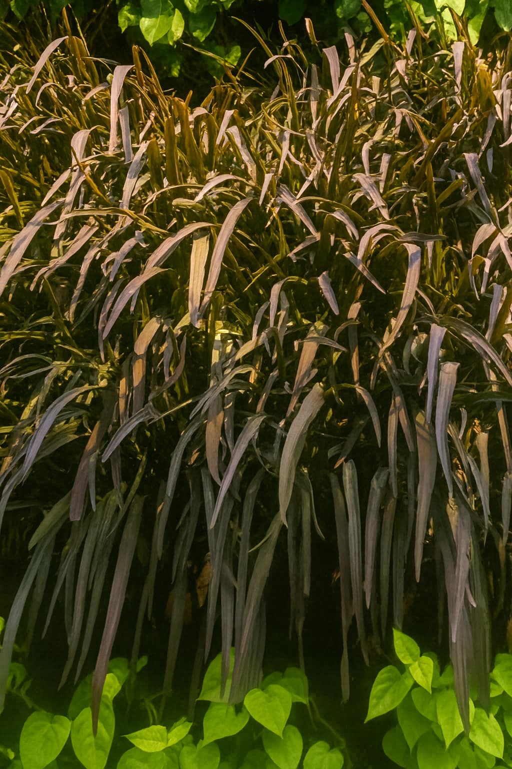 May Flowers Horticulture Installation 58